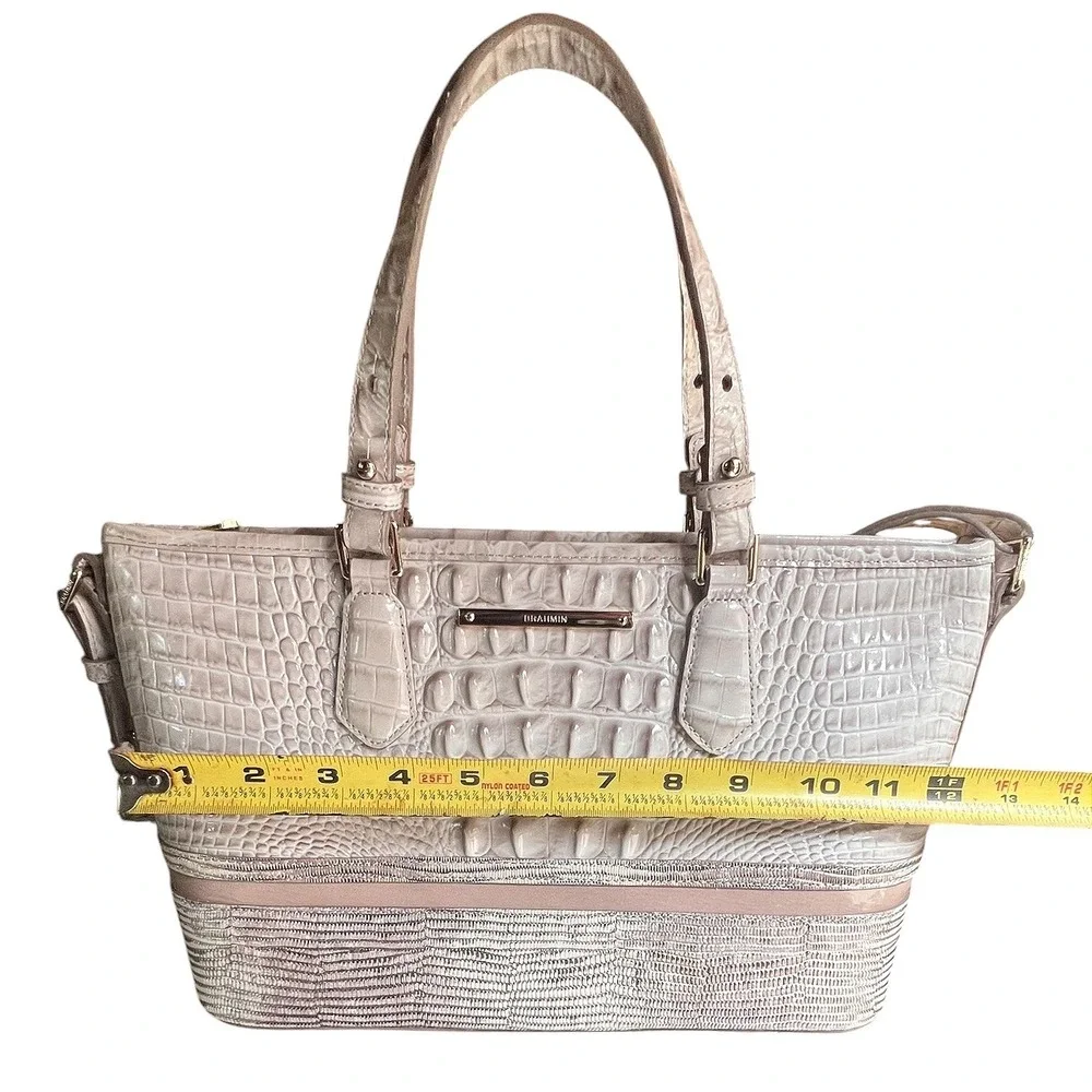 Brahmin mini asher